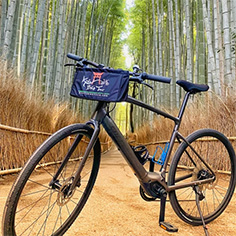 Kyoto Bike Tour