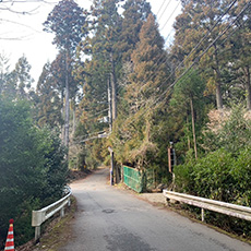 (Half day) Kyoto Kyomi Pass, Kumogahata cycling route
