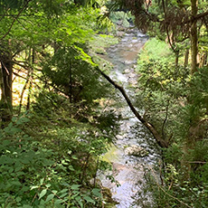 (Half day) Kyoto Kyomi Pass, Kumogahata cycling route