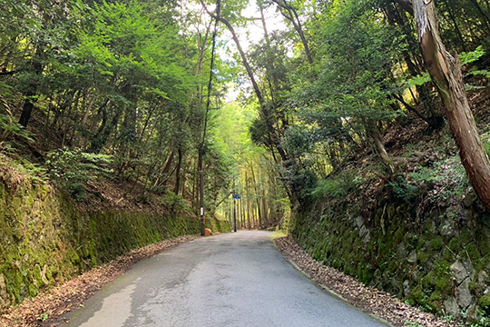 (Half day) Kyoto Kyomi Pass, Kumogahata cycling route