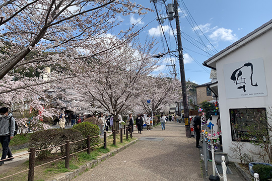 (1 day) Classic Kyoto city cycling route