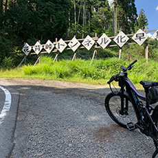 (Half day) Kyoto Kurama Temple, Ohara Sanzen-in Temple cycling route