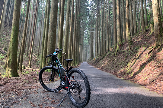 (Half day) Kyoto Kurama Temple, Ohara Sanzen-in Temple cycling route