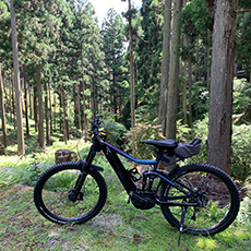 (Half day) Kyoto Kurama Temple, Ohara Sanzen-in Temple cycling route