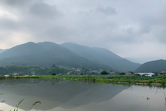 (Half day) Kyoto Kurama Temple, Ohara Sanzen-in Temple cycling route