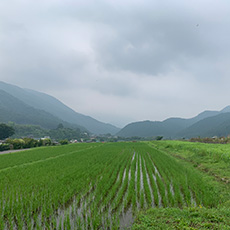 (Half day) Kyoto Kurama Temple, Ohara Sanzen-in Temple cycling route