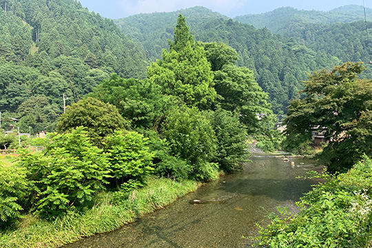 (Half day) Kyoto Kurama Temple, Ohara Sanzen-in Temple cycling route