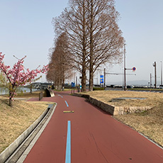 (1 day) Kyoto to Lake Biwa cycling route