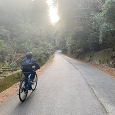 (1 day) Kyoto to Lake Biwa cycling route