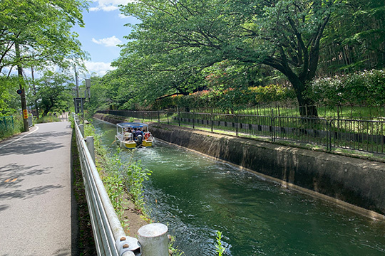 (1 day) Kyoto to Lake Biwa cycling route