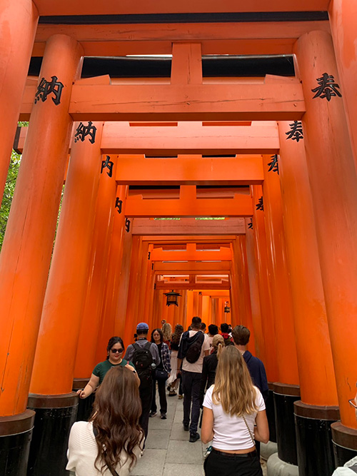 (1 day) Classic Kyoto city cycling route