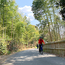 (1 day) Classic Kyoto city cycling route