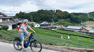 Wazuka tea fields history01