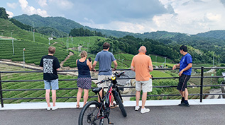 Wazuka tea fields history02