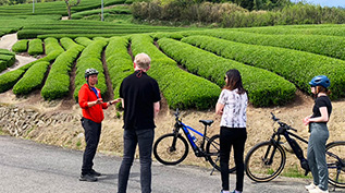 Wazuka tea fields history03