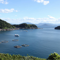 天橋立〜伊根舟屋の絶景コース