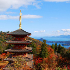 「京丹後⇒伊根⇒天橋立」を行く丹後随一の絶景モデルコース